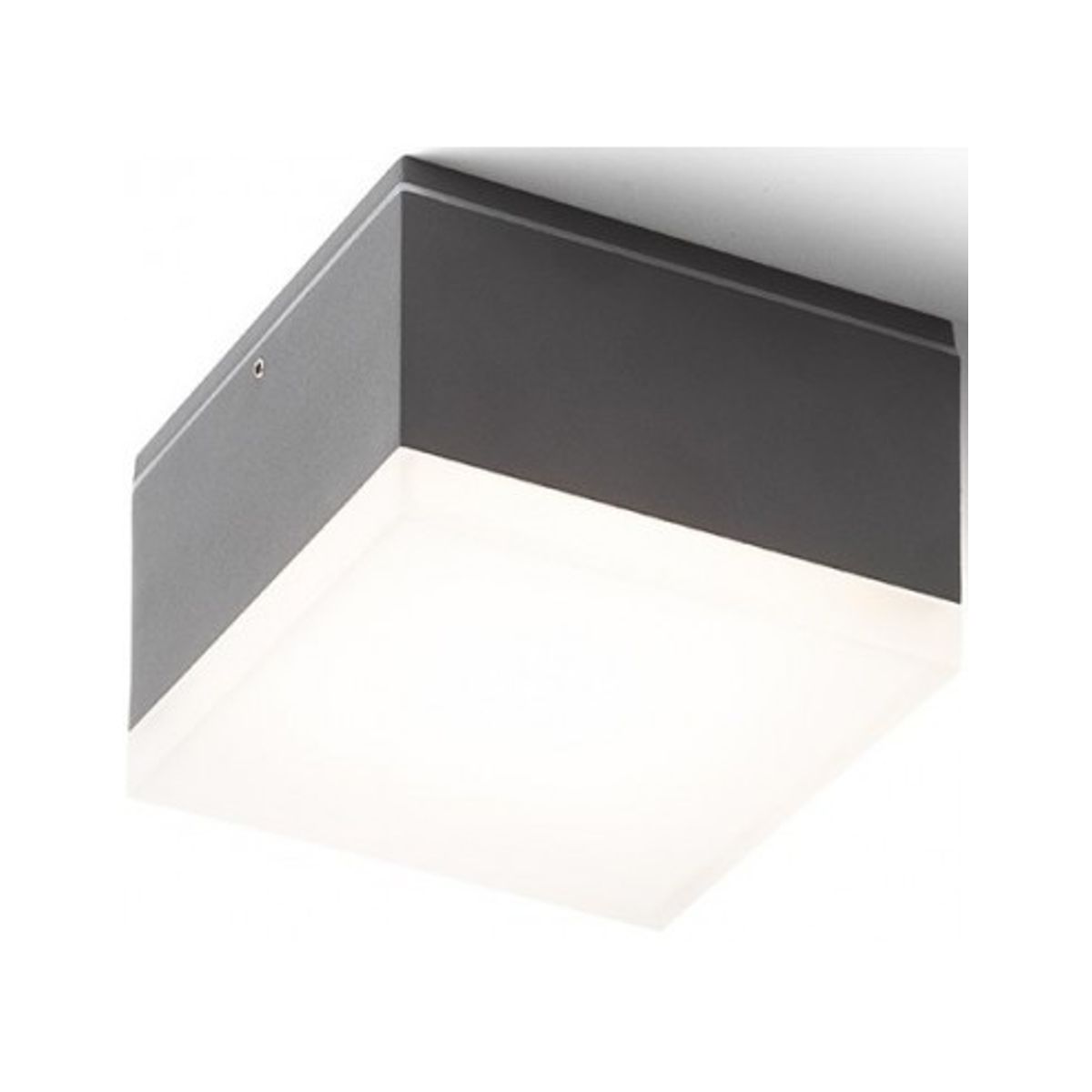 ORIN SQ udendørs påbygningsspot 10,8 x 10,8 cm 10W LED - Antracit