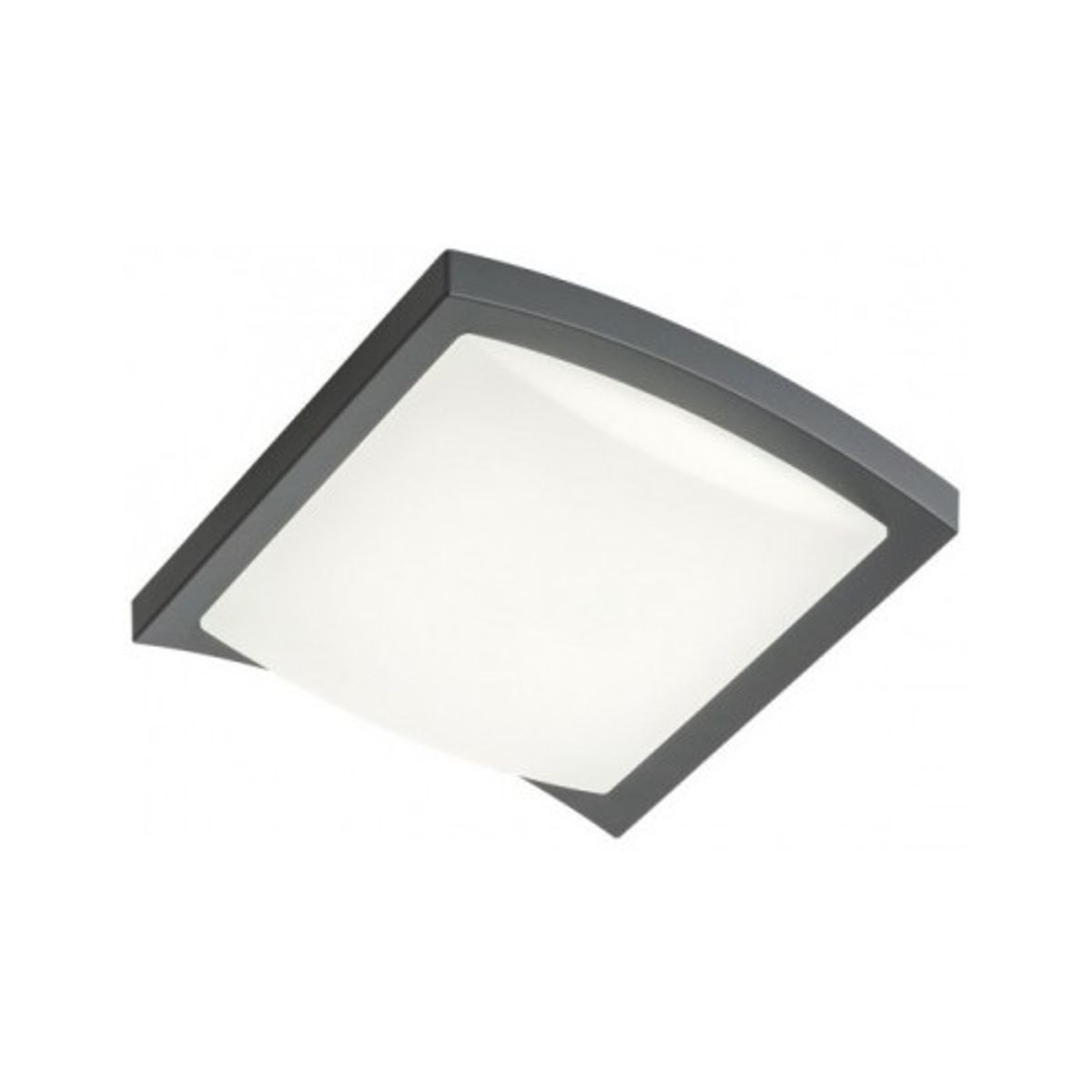 TALLIN Loftlampe i aluminium og polycarbonat 24,5 x 24,5 cm 1 x 21W SMD LED - Mat mørkegrå