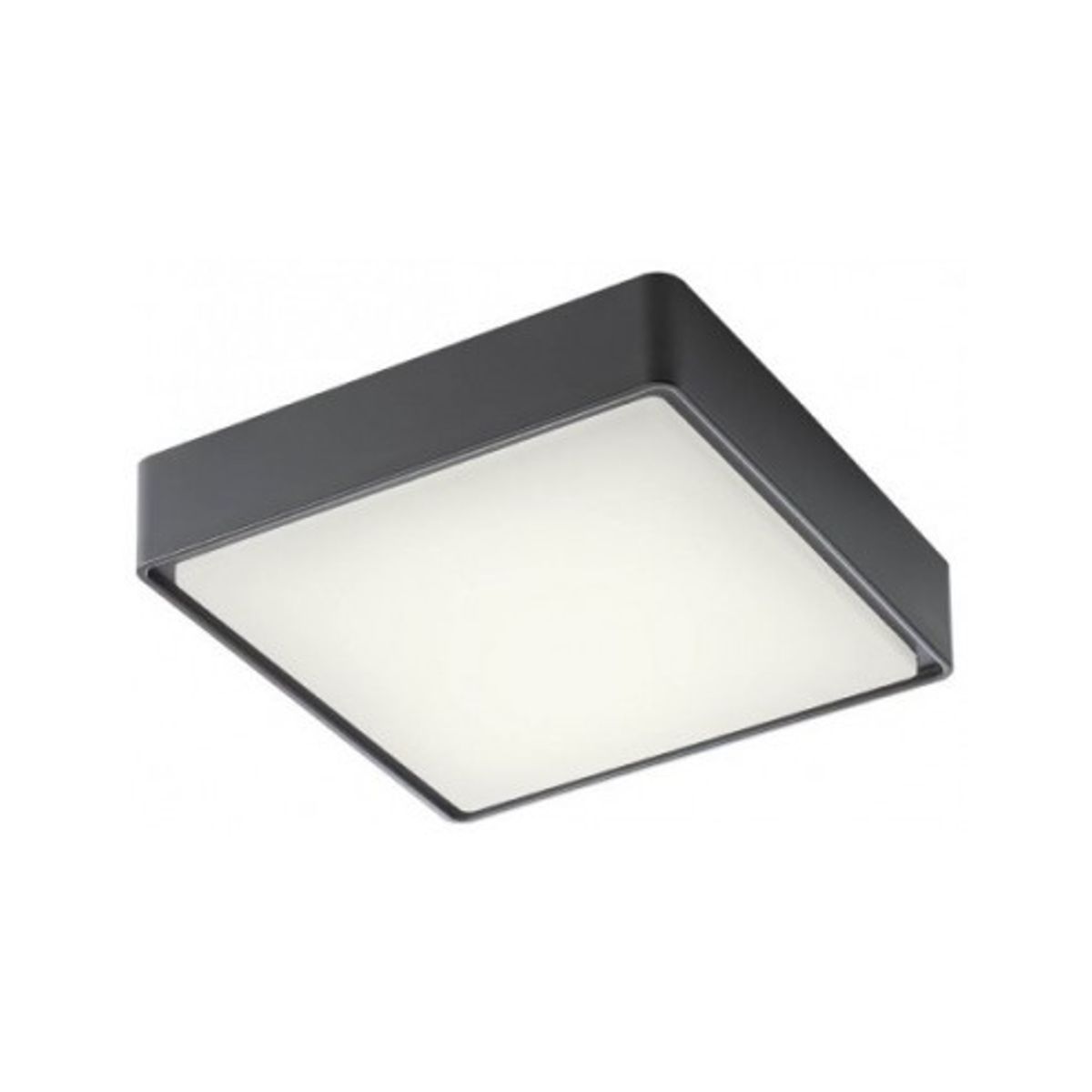 MARINA Loftlampe i abs og polycarbonat 22 x 22 cm 1 x 12W SMD LED - Mat mørkegrå