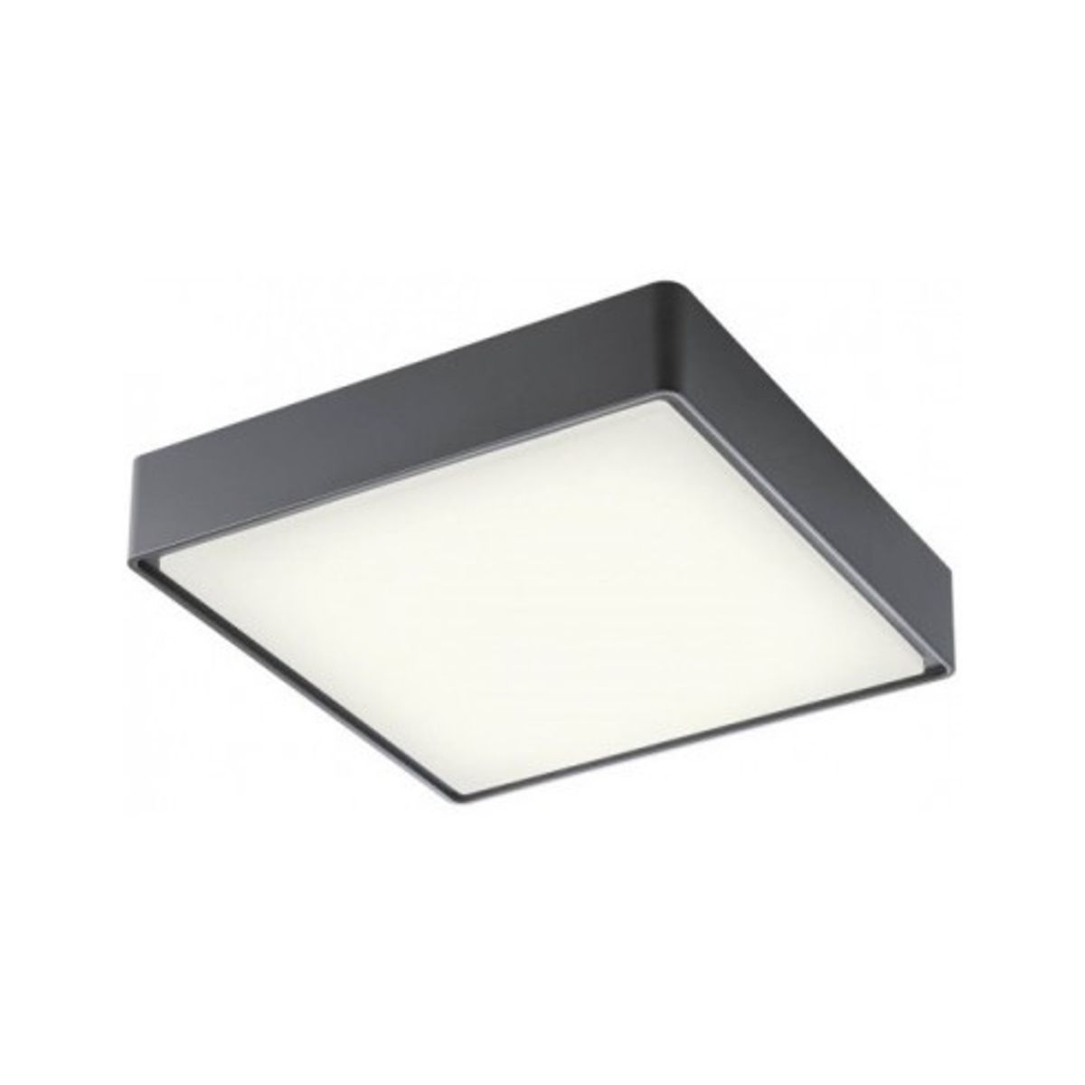 MARINA Loftlampe i abs og polycarbonat 29,6 x 29,6 cm 1 x 16W SMD LED - Mat mørkegrå