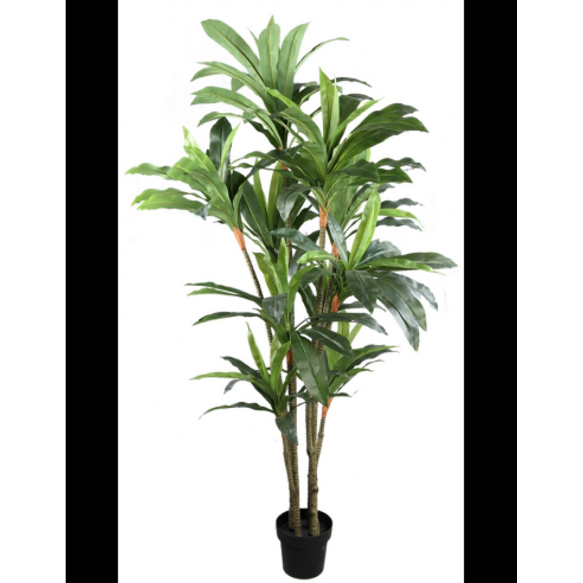 Kunstig dracaena palme H180 cm - Grøn