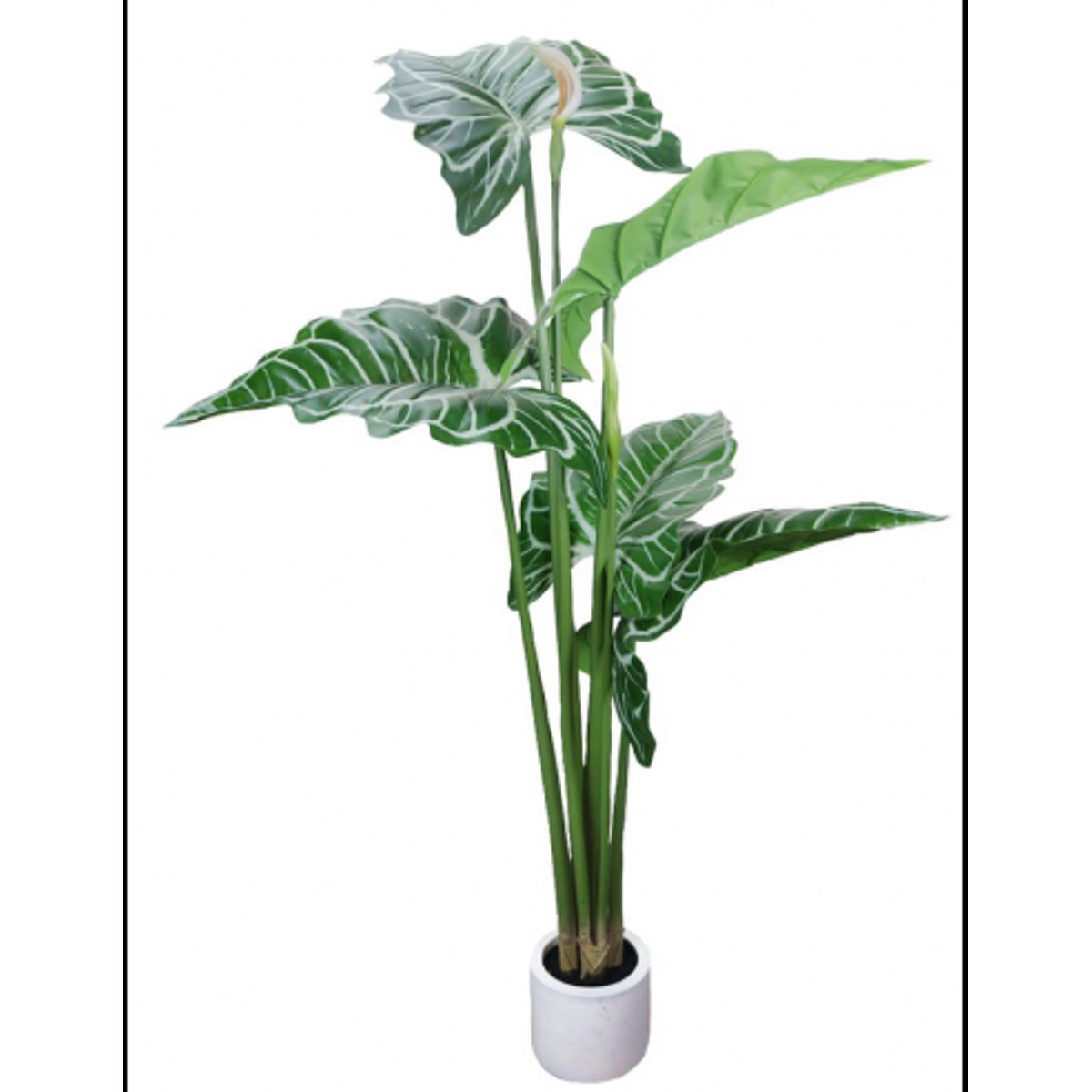 Kunstig Alocasia plante H170 cm - Grøn