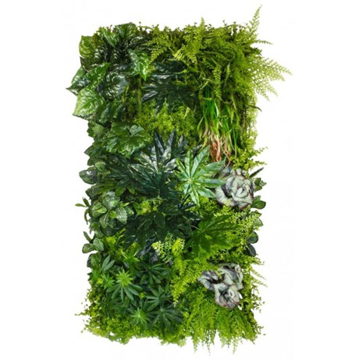 Tropical Plantevæg med kunstige planter 100 x 50 cm