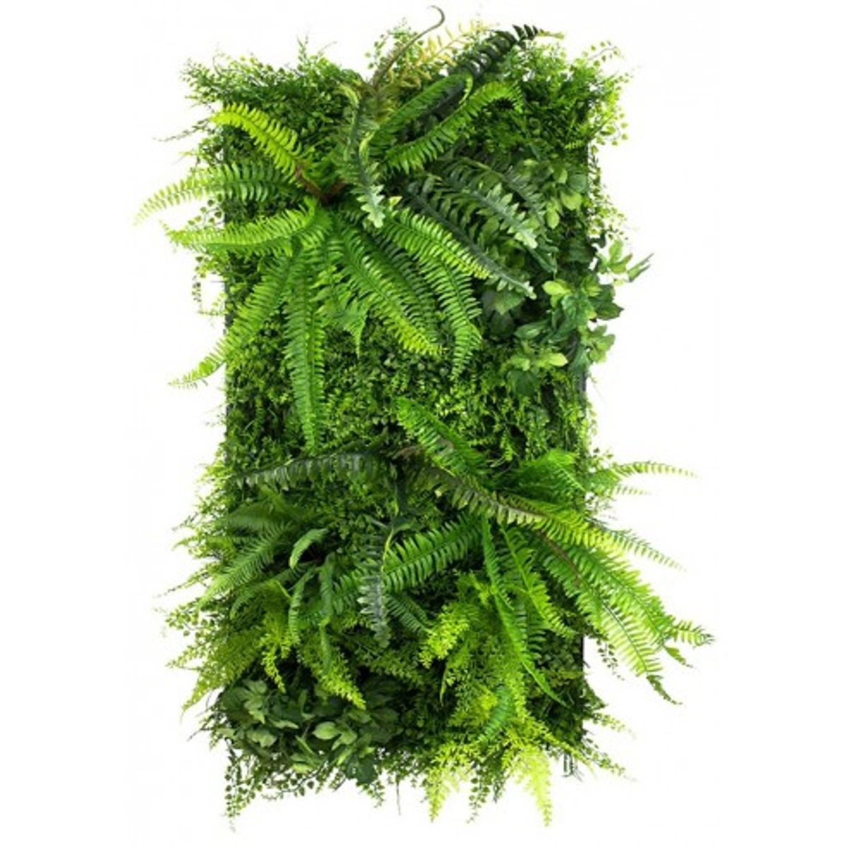 Wild Fern Plantevæg med kunstige planter 100 x 50 cm