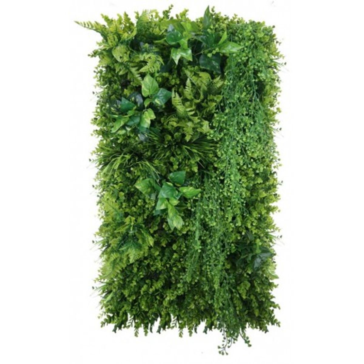 Wild Green Plantevæg med kunstige planter 100 x 50 cm