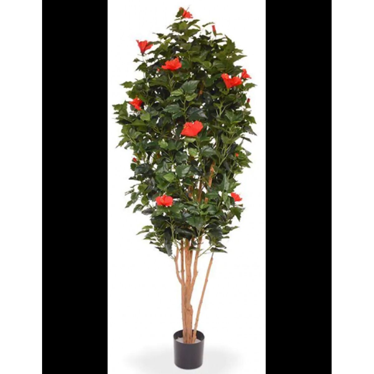 Stor kunstig Hibiscus plante H175 cm - Grøn/Rød