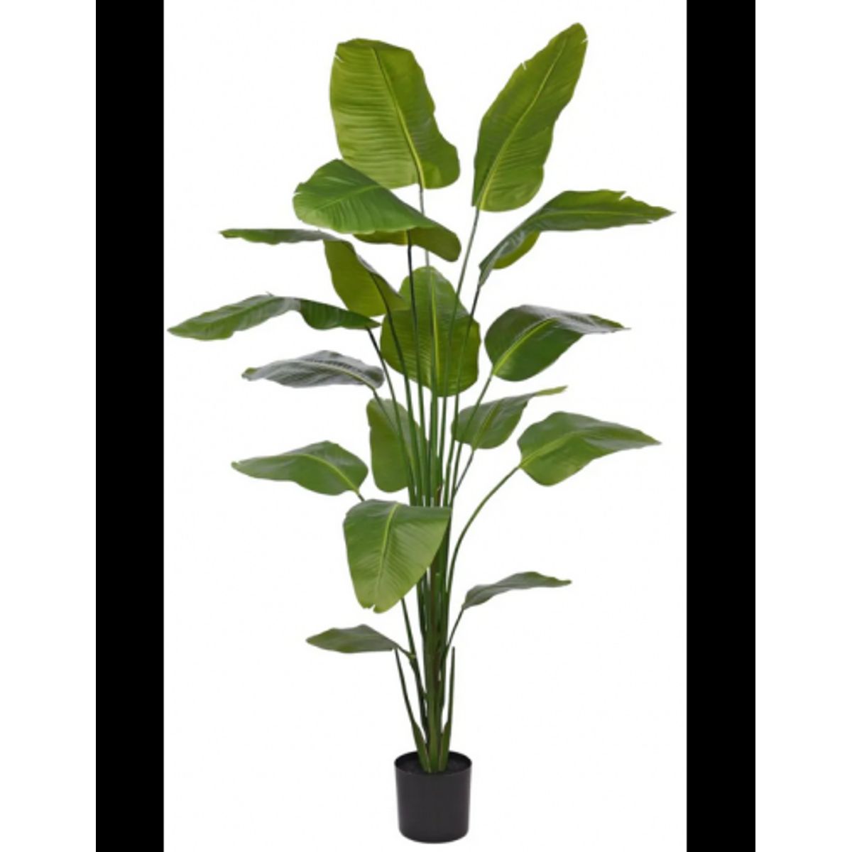 Stor kunstig Strelitzia plante H210 cm - Grøn