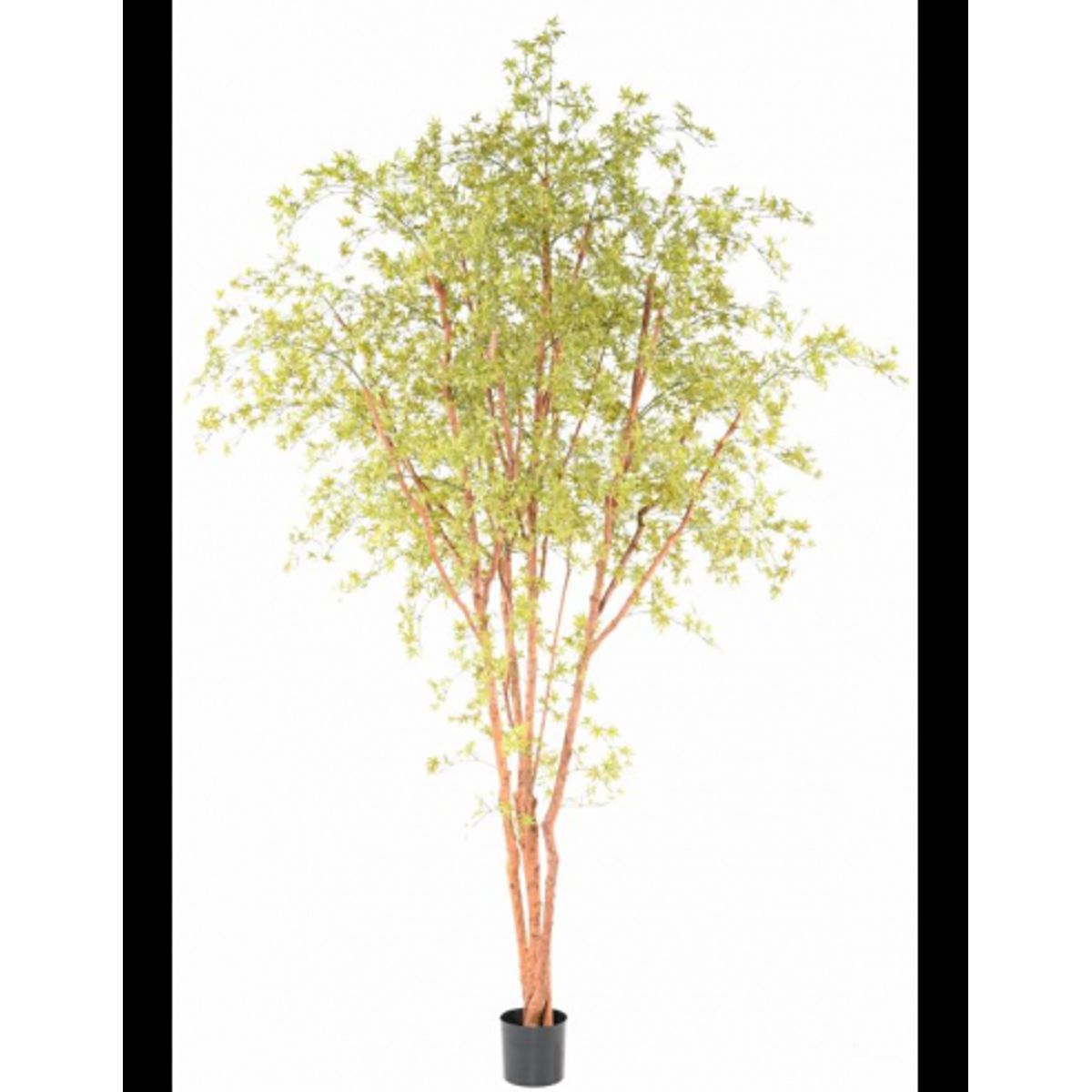 Stort Aralia kunstigt træ H340 cm - Grøn