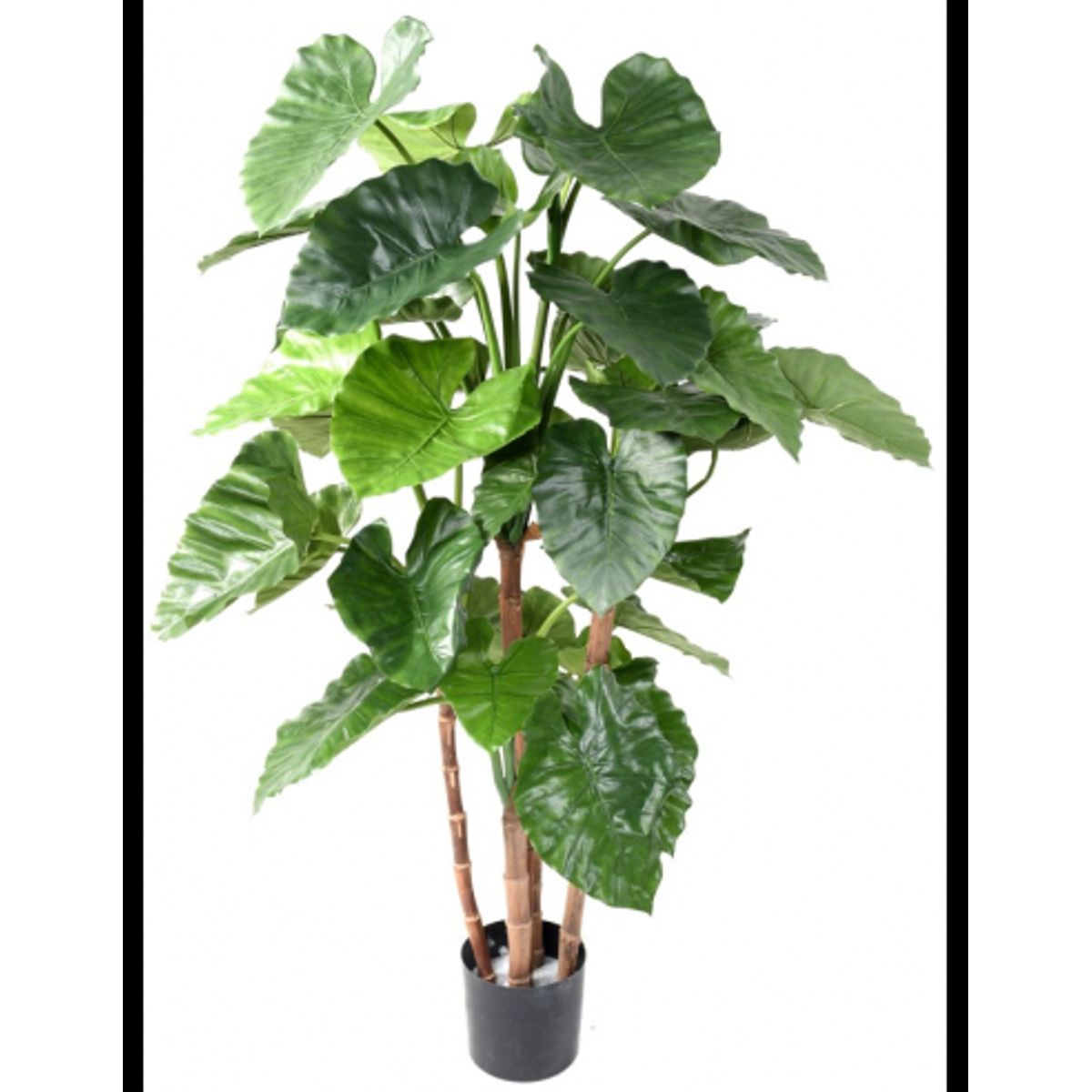 Stor kunstig Alocasioa plante H170 cm