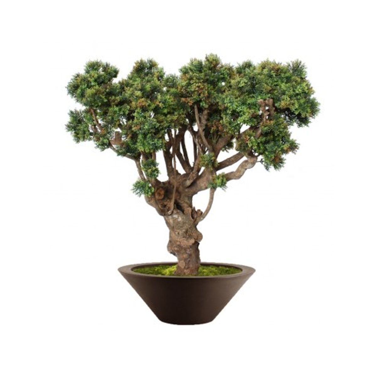 Stort kunstigt Boxwood træ med potte H120 cm