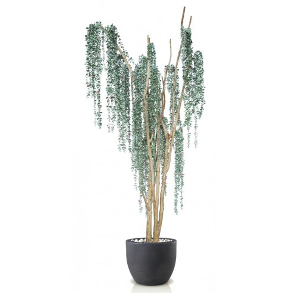 Stort kunstigt Eucalyptus træ med potte H220 cm