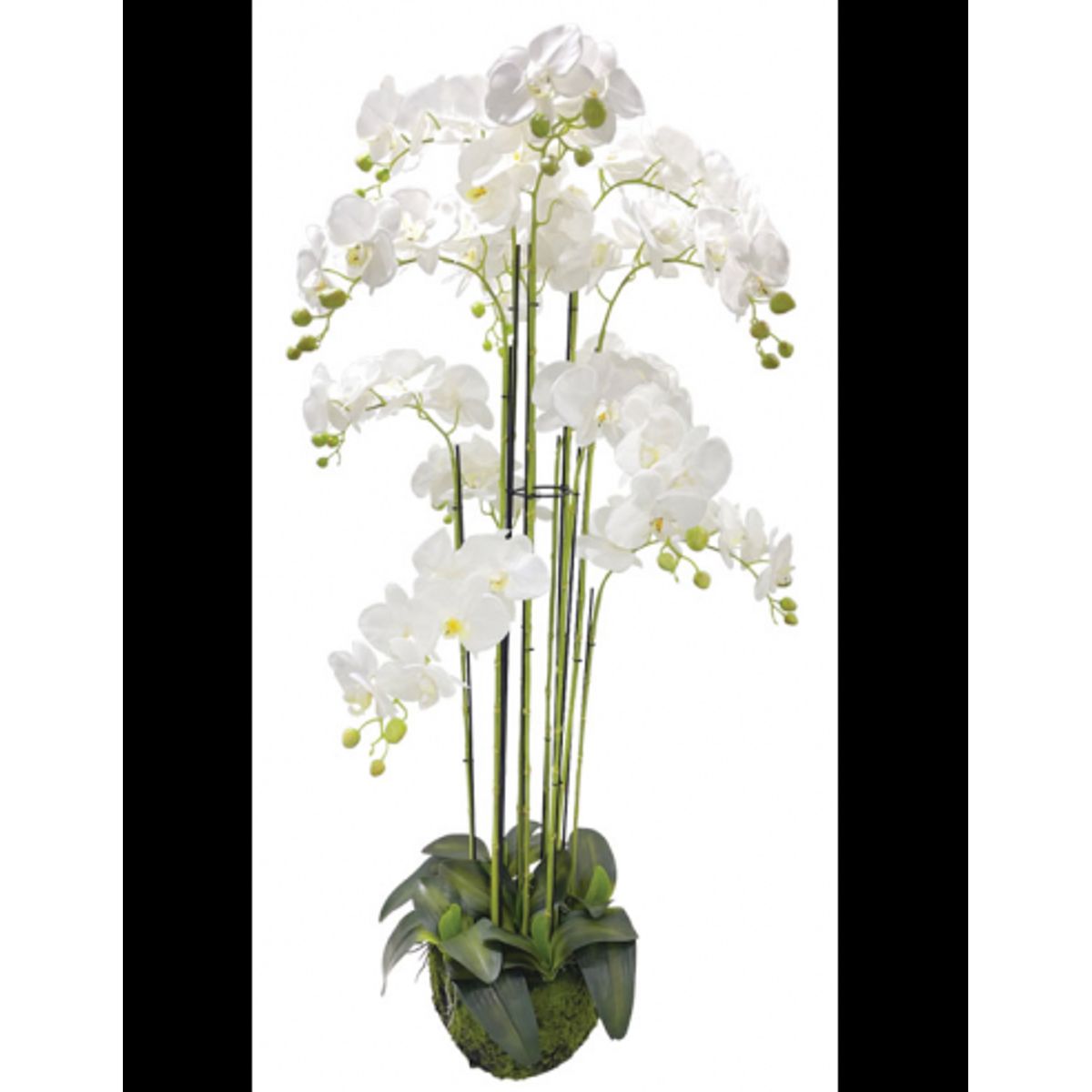 Stor kunstig Orkide plante H135 cm - Hvid