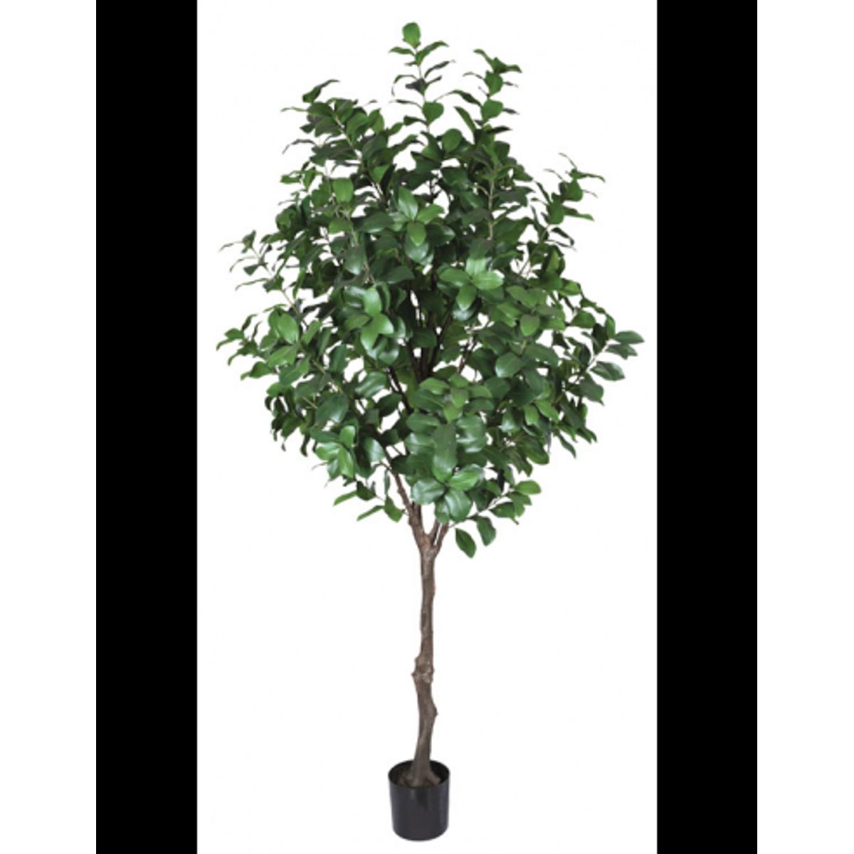 Stort kunstigt Laurel træ H220 cm