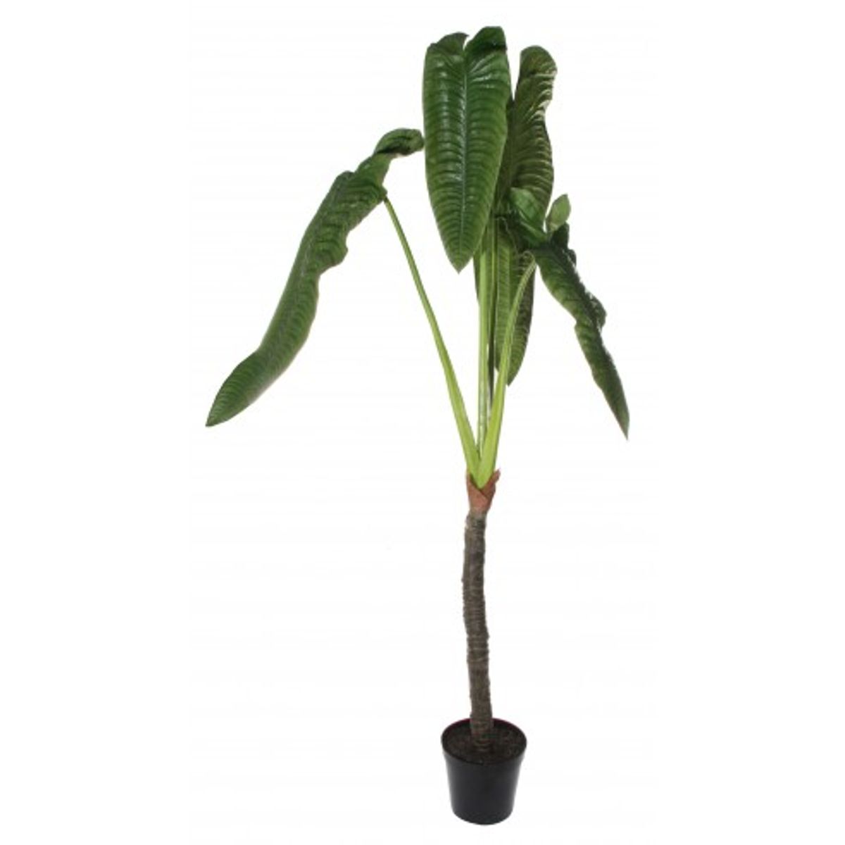 Stor kunstig Elefantøre plante H240 cm