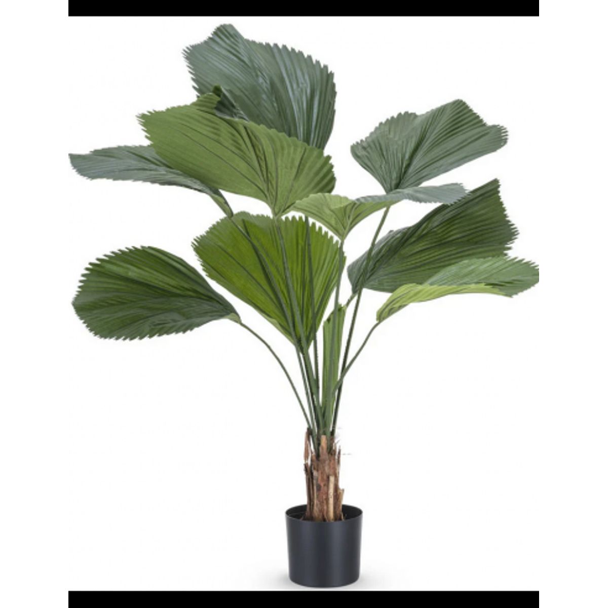 Stor kunstig Lucuala Grandis plante H120 cm