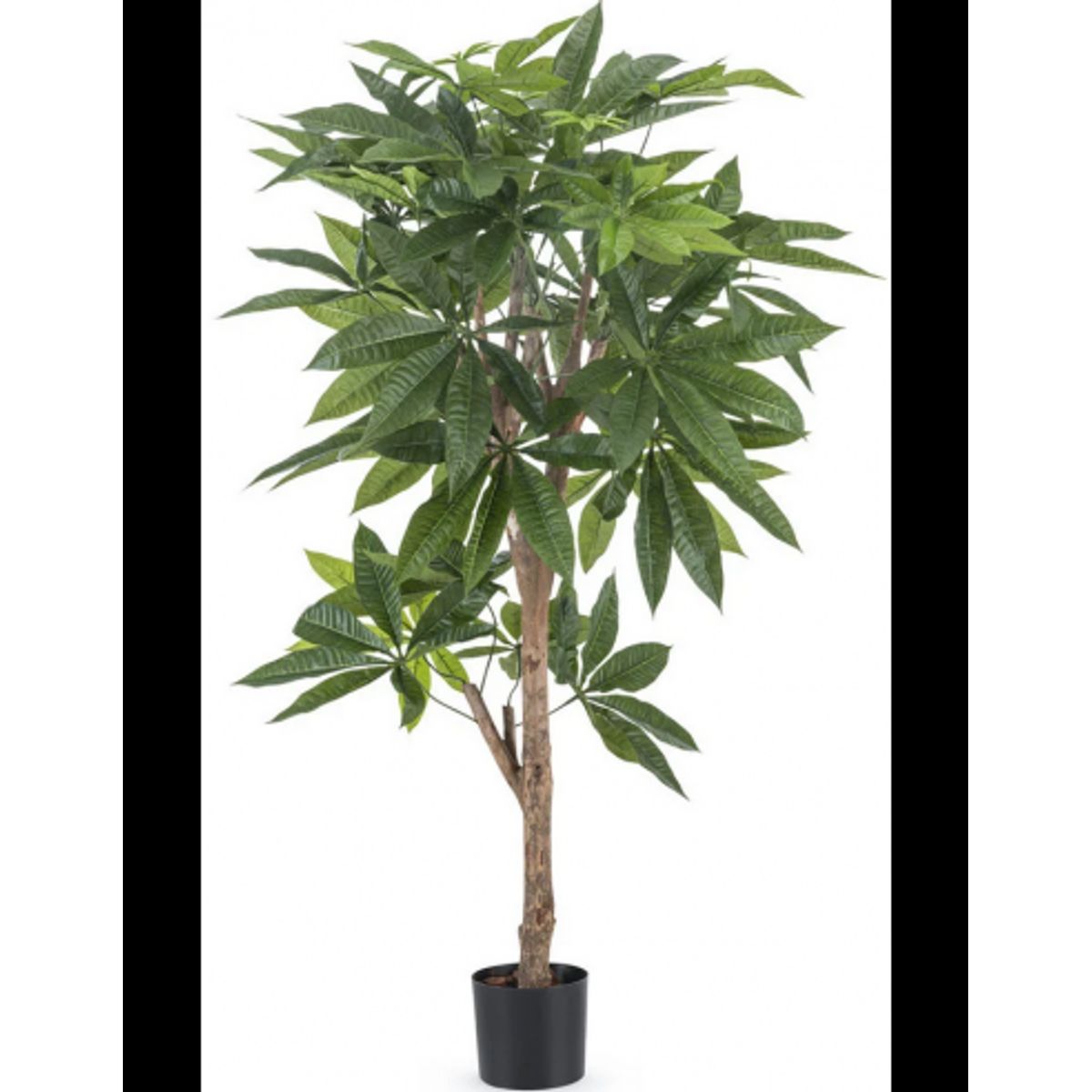 Kunstig Pachira Braid plante H115 cm