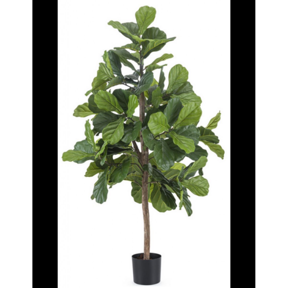 Kunstigt Fiddle Leaf træ H150 cm