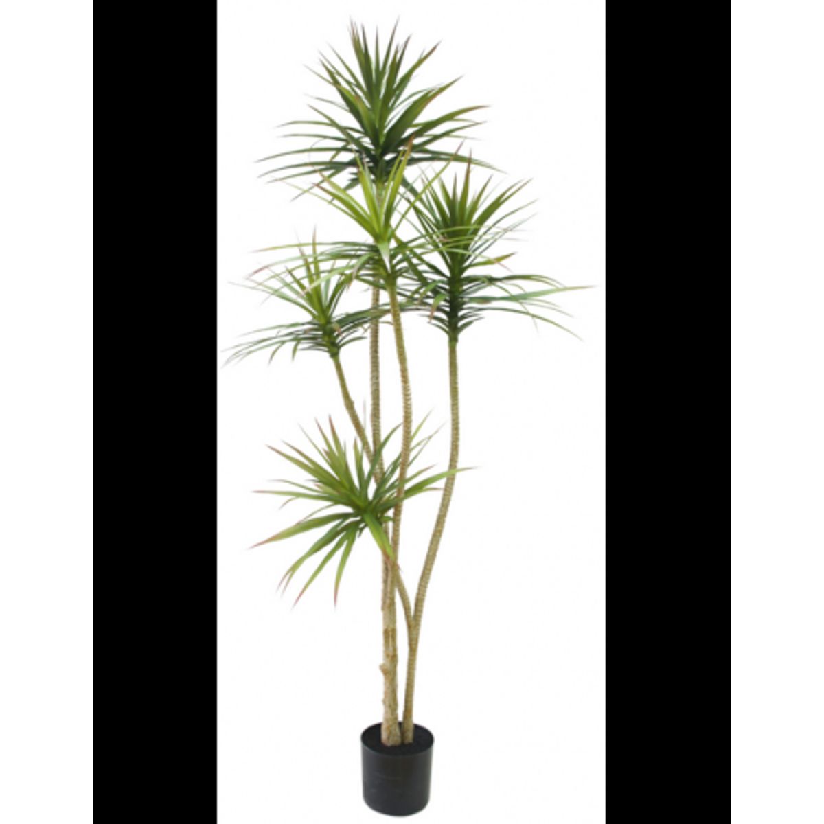 Kunstig Dracaena plante H180 cm