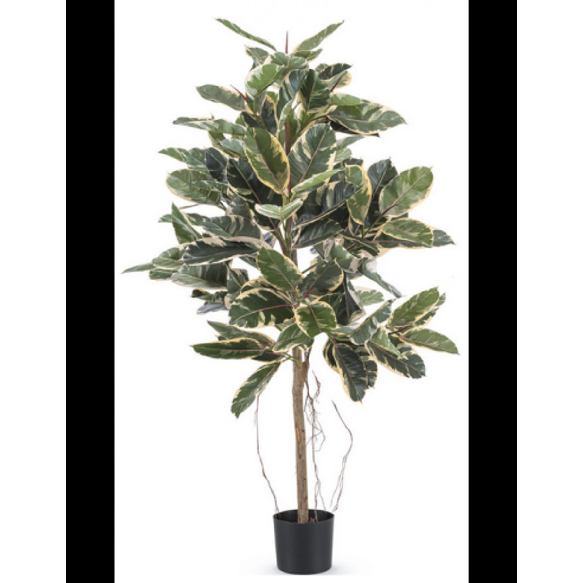 Stor kunstig deluxe gummi plante H150 cm