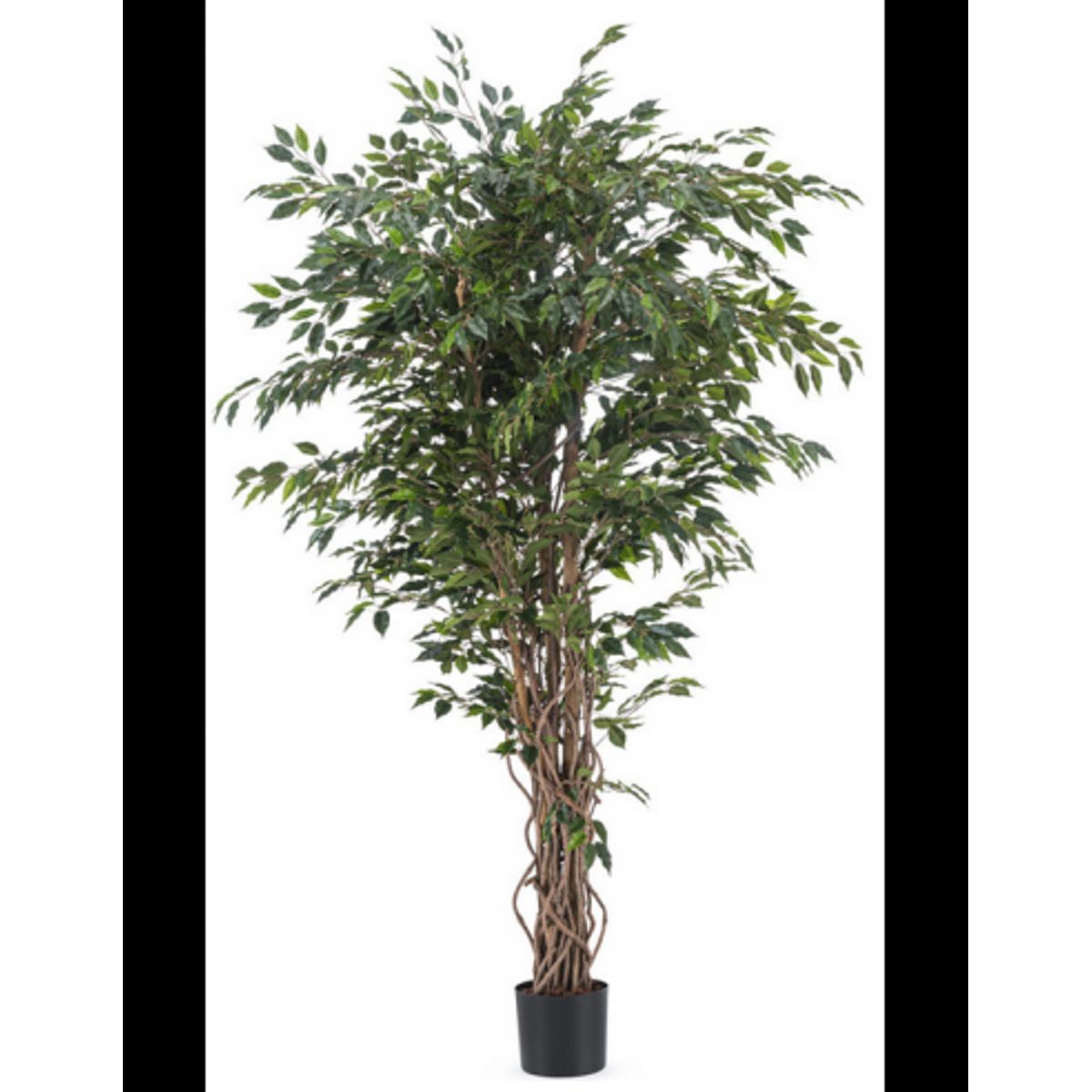 Stor kunstig Ficus Liana plante H180 cm