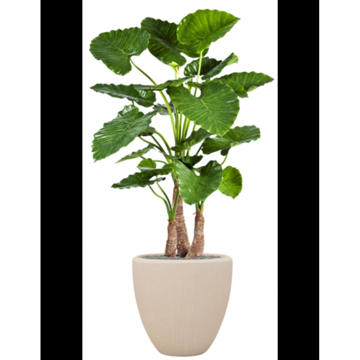 Sammenplantning med krukke og kunstig Alocasia Calidora plante H167 cm