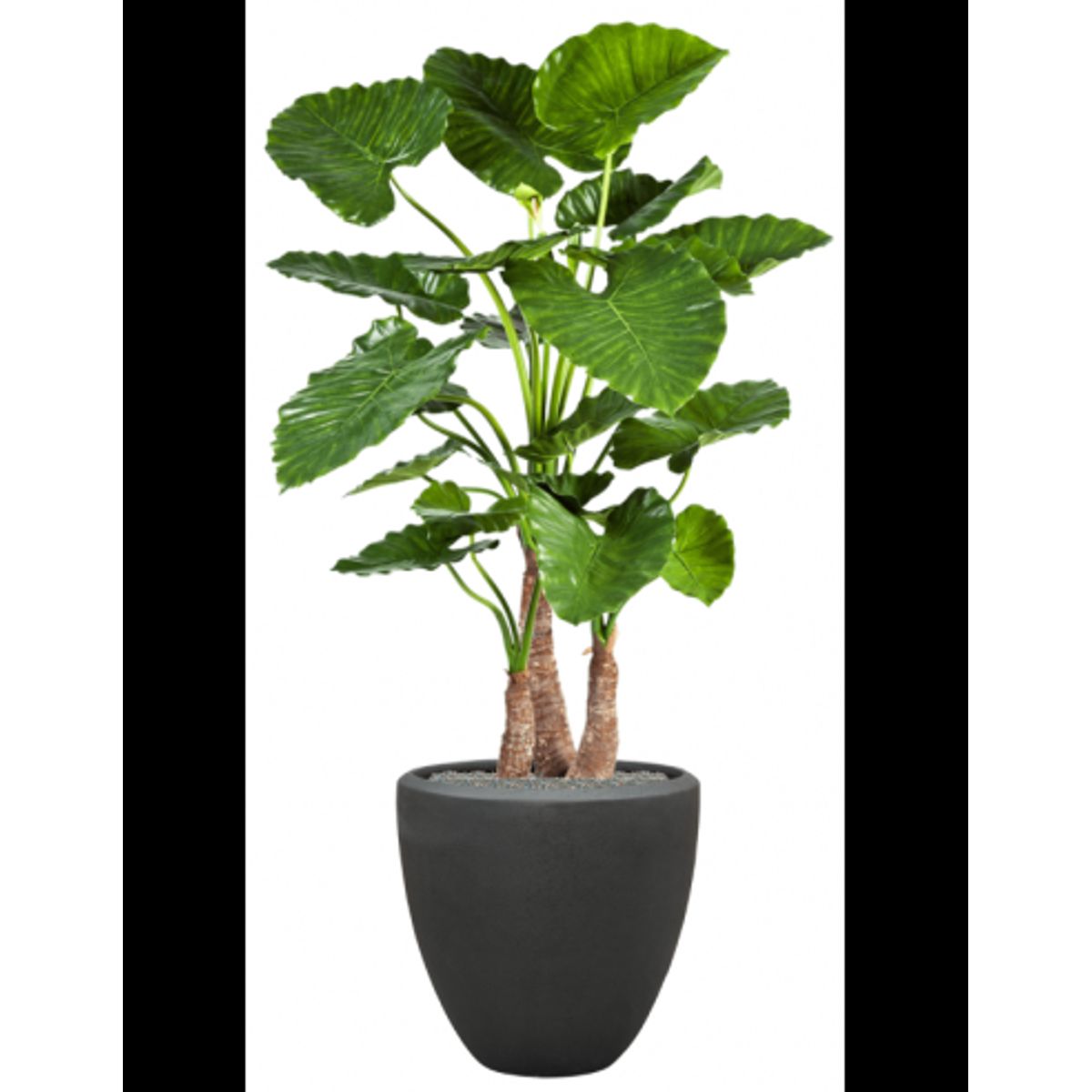 Sammenplantning med krukke og kunstig Alocasia Calidora plante H167 cm