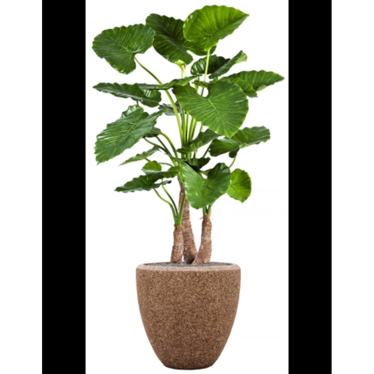 Sammenplantning med krukke og kunstig Alocasia Calidora plante H168 cm