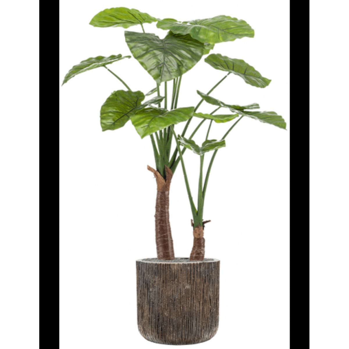 Sammenplantning med krukke og kunstig Alocasia plante H146 cm