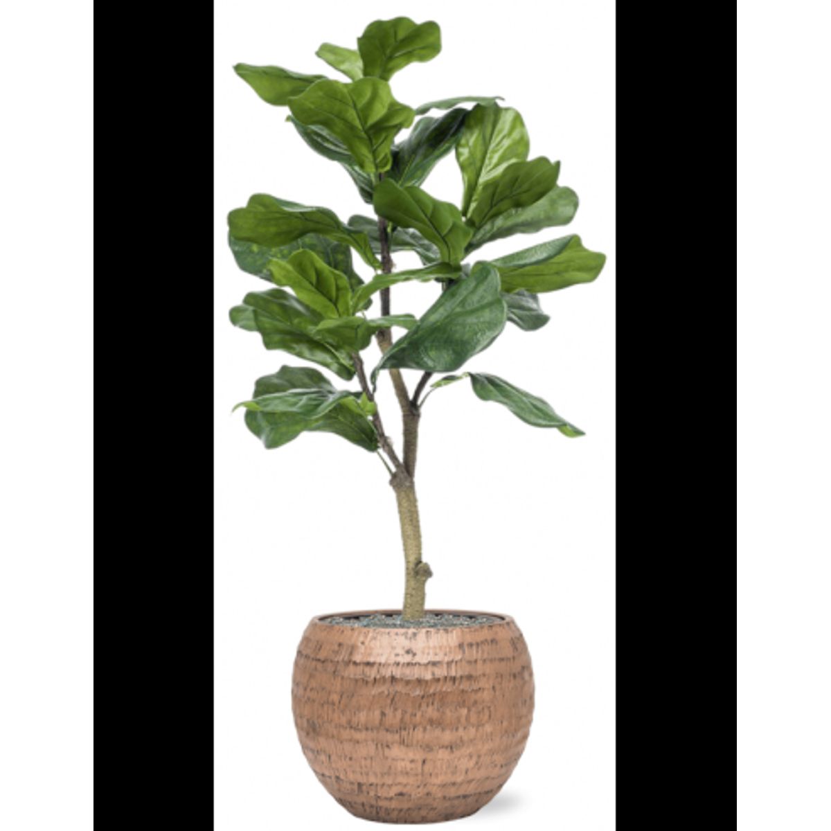 Sammenplantning med krukke og kunstig Ficus Lyrata plante H120 cm