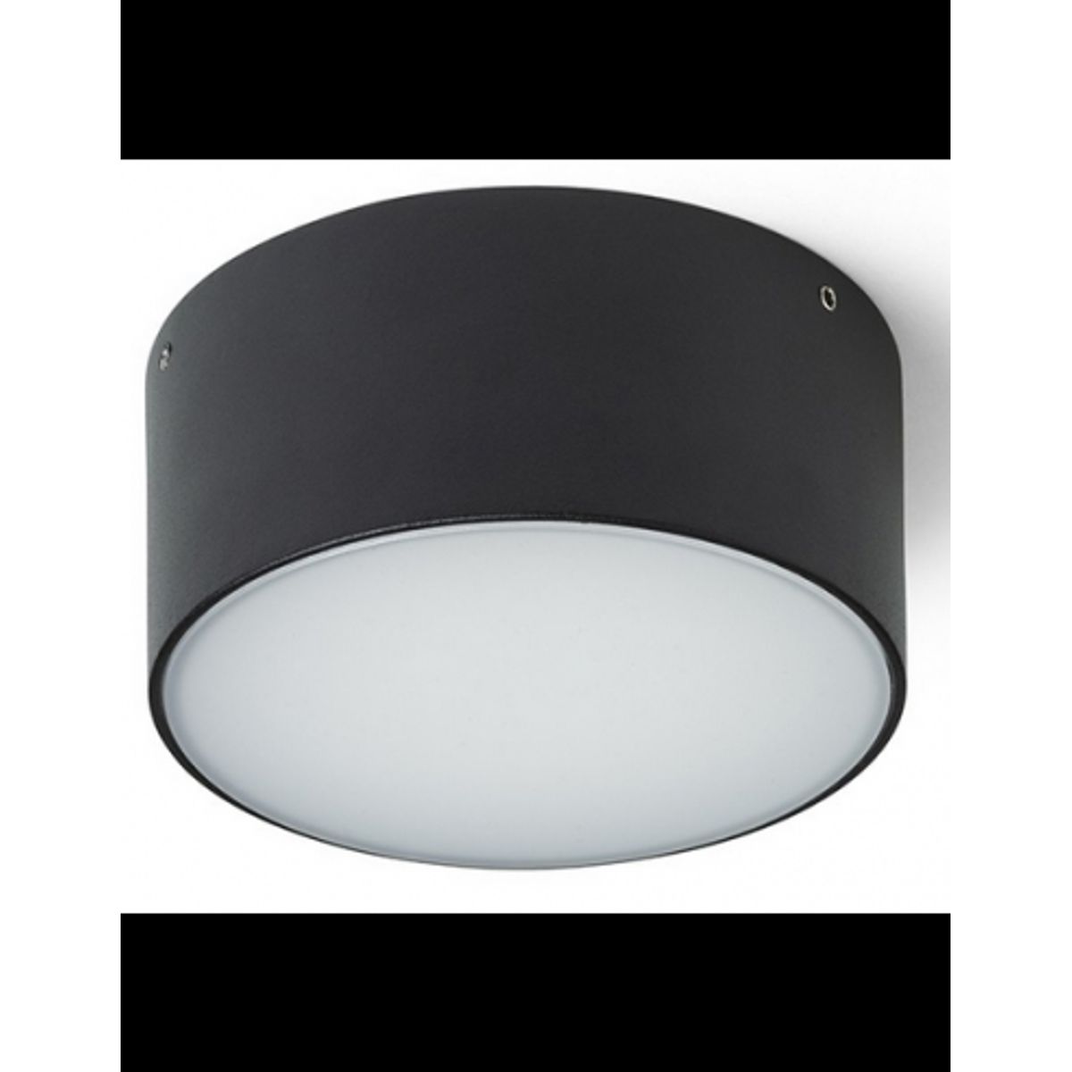 Larisa Udendørs loftlampe Ø12,3 cm 10W LED - Sort