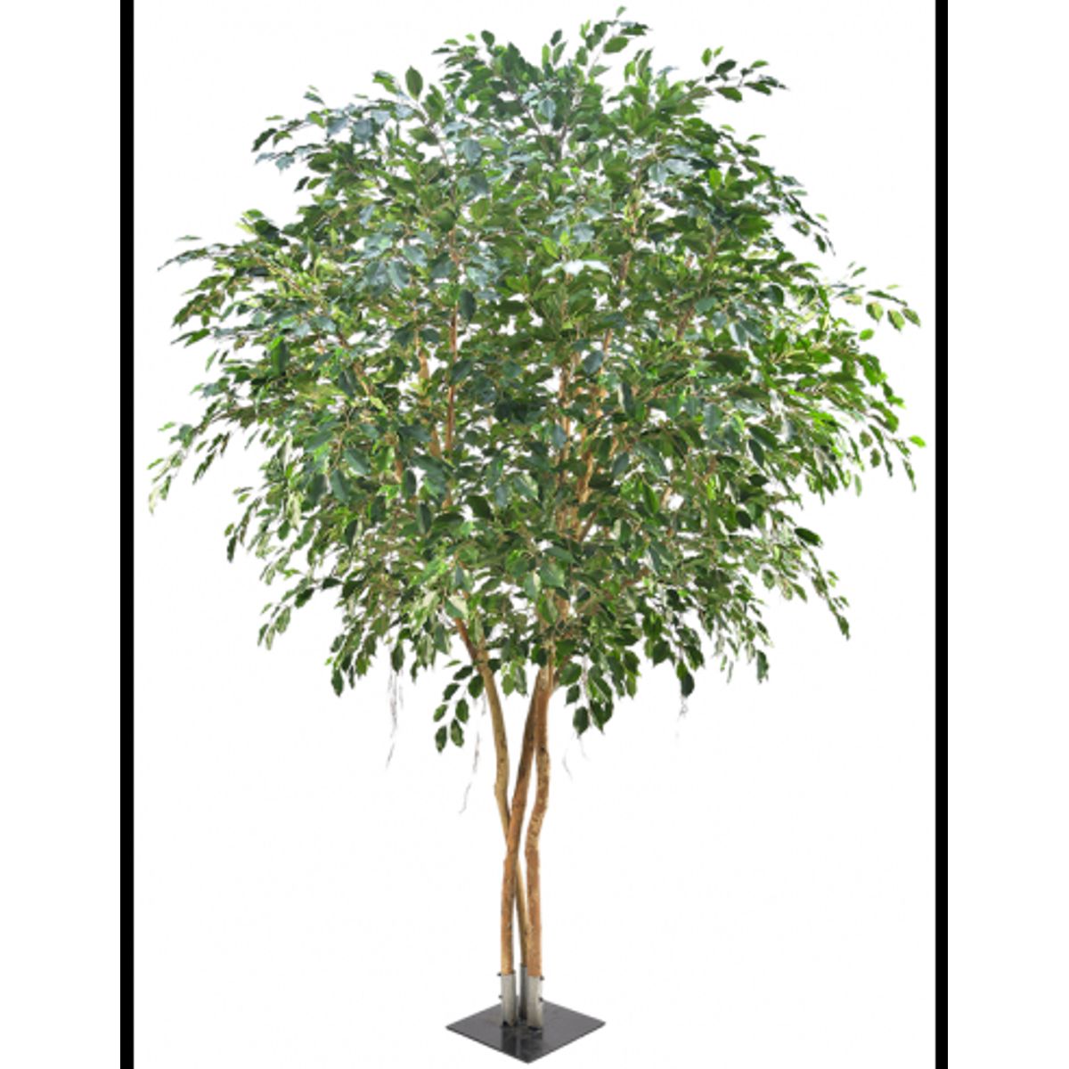 Kunstigt Ficus Exotica træ H400 cm