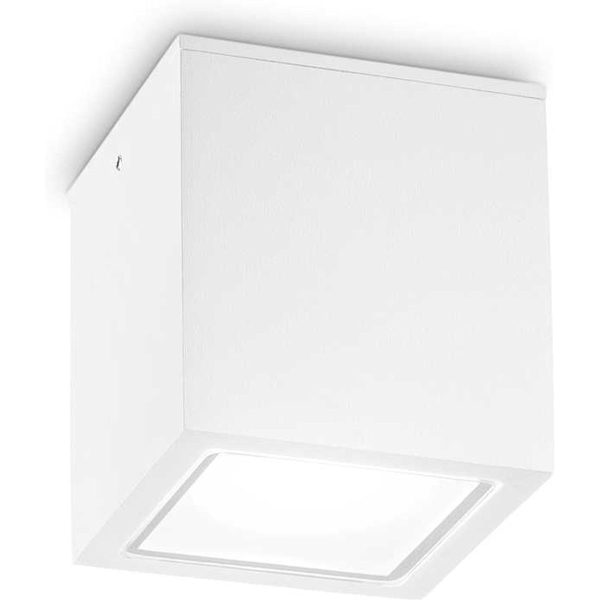 Techo, Udendørs loftslampe, GU10 max 1 x 20W, GU10, hvid, metal, glas, L90xH95xB90mm