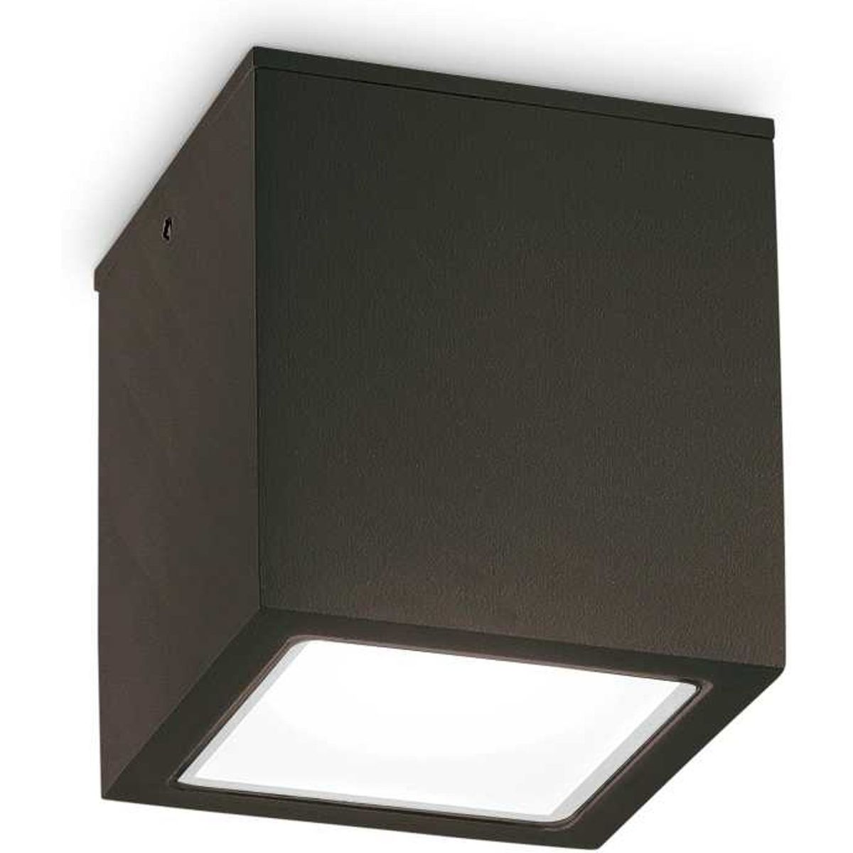 Techo, Udendørs loftslampe, GU10 max 1 x 20W, GU10, sort, metal, glas, L90xH95xB90mm