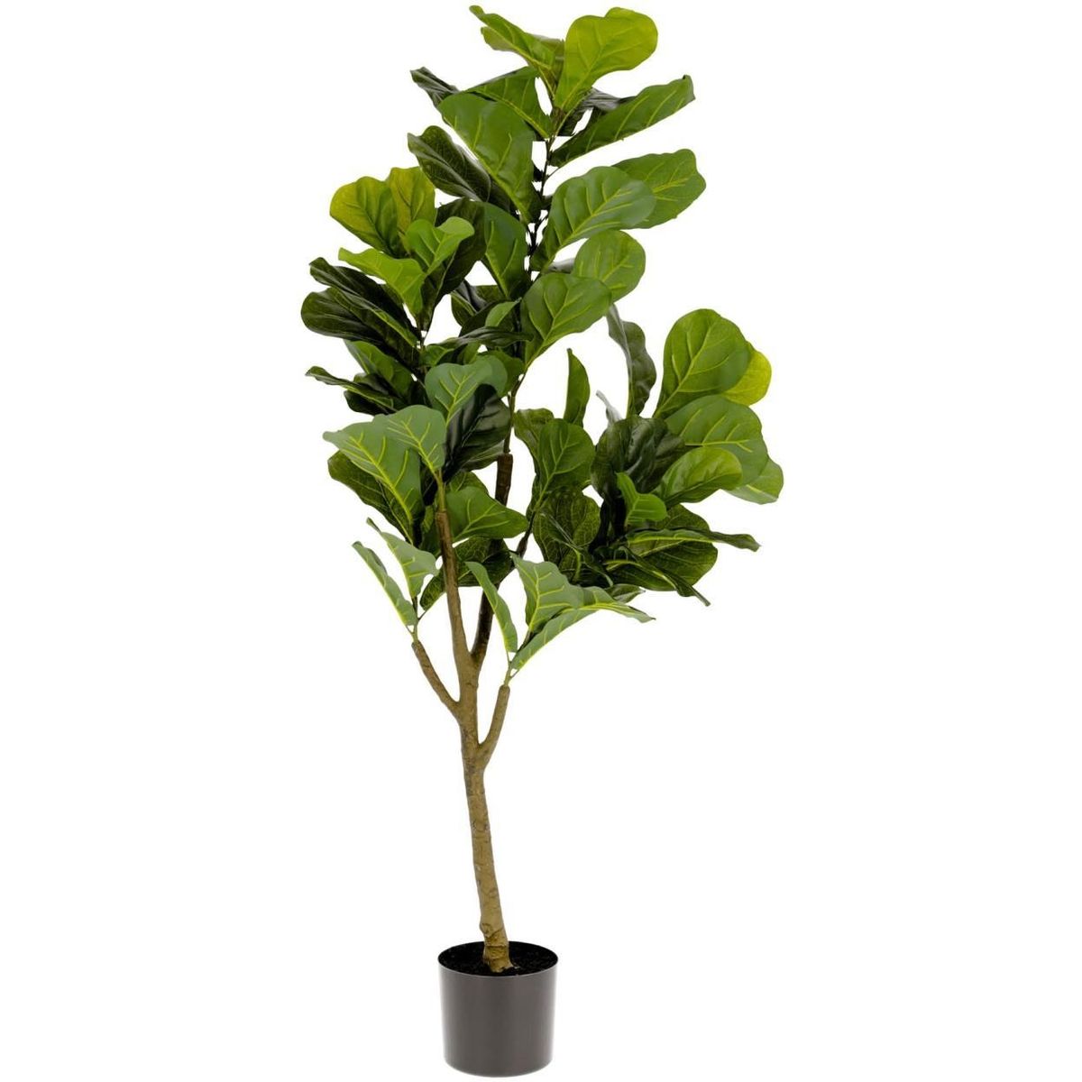 Ficus, Kunstig plante, grøn/sort, H150x60x60 cm