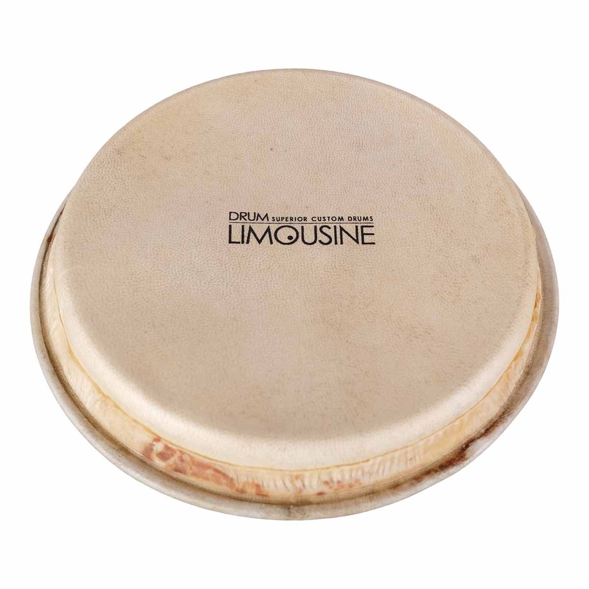 Drum Limousine TD-HEAD7 skind til Traditional bongo, 7"