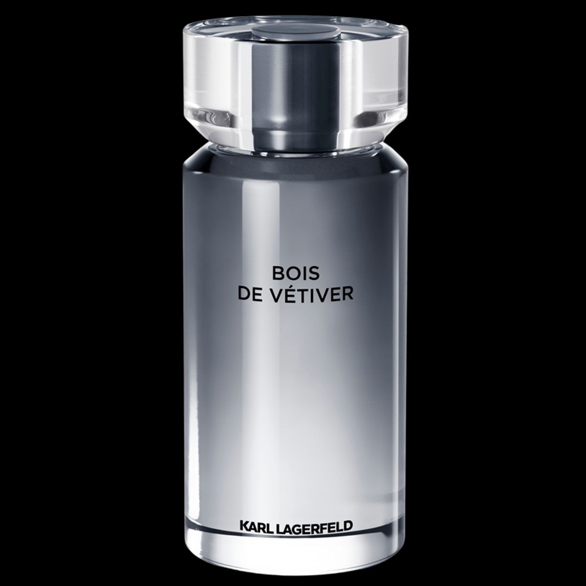 Karl Lagerfeld Parfums Matieres Bois de Vétiver EDT (100 ml)