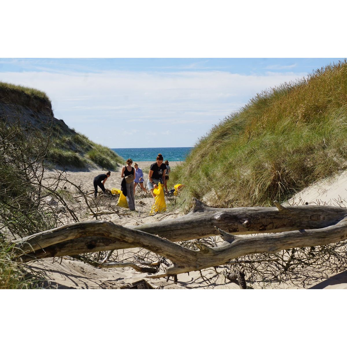 Velgørenhed - Få fjernet 6 kg havaffald