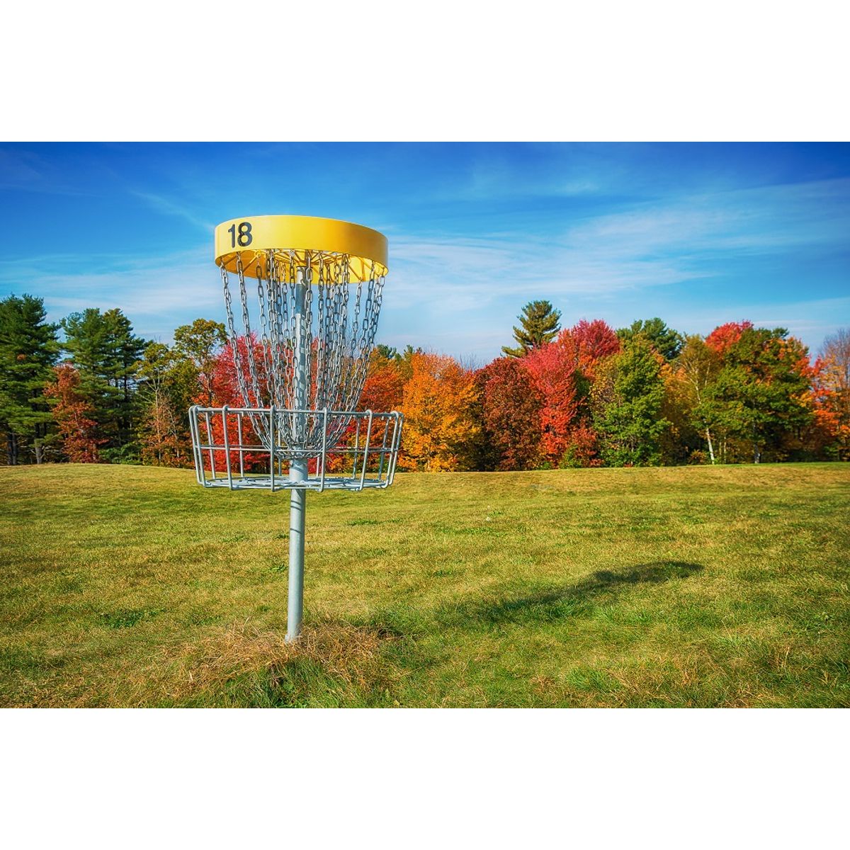 Disc Golf - 1 dag for 4 personer (Weekend)