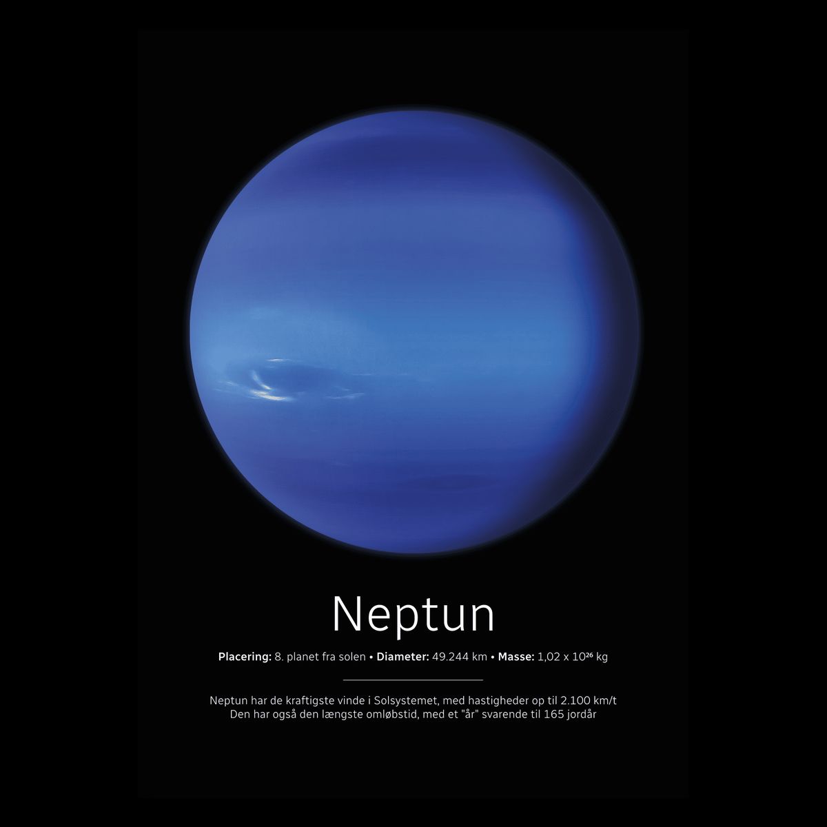 Neptun Plakat 60x84 cm (A1) / Hvid Egetræ