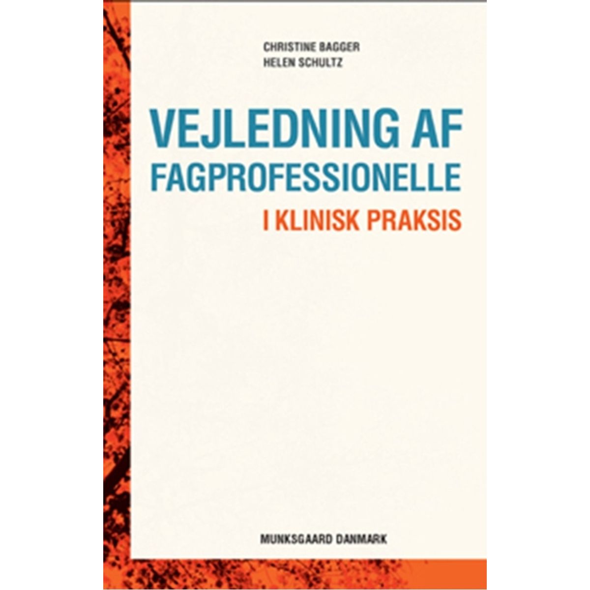 Vejledning af fagprofessionelle