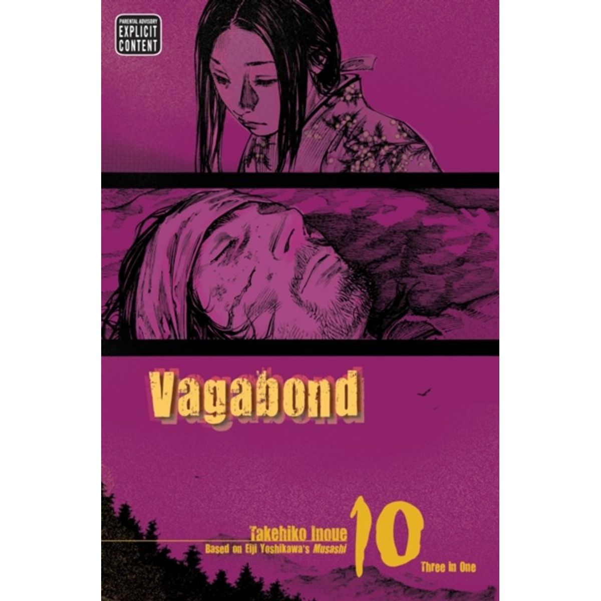 Vagabond (VIZBIG Edition), Vol. 10