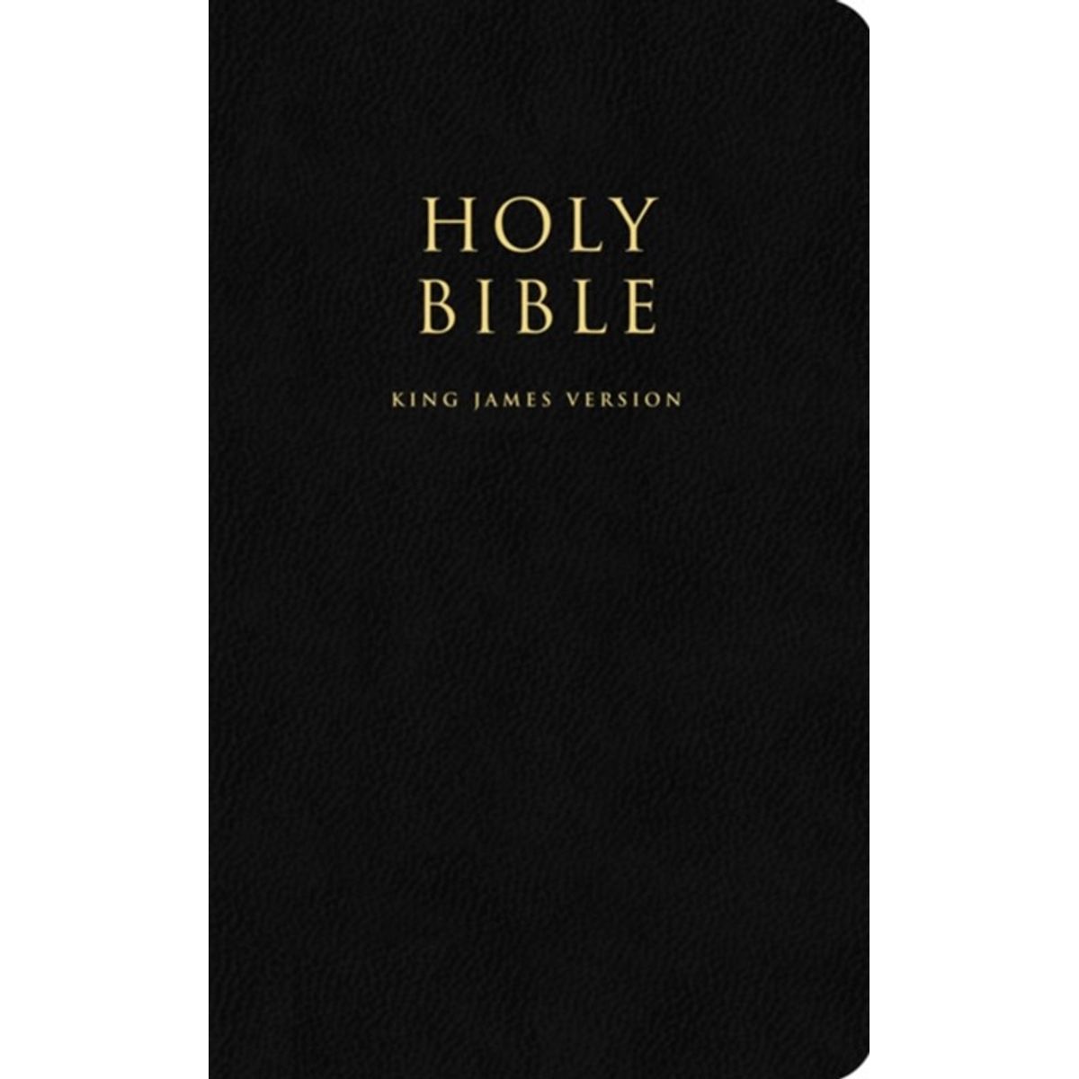 Holy Bible