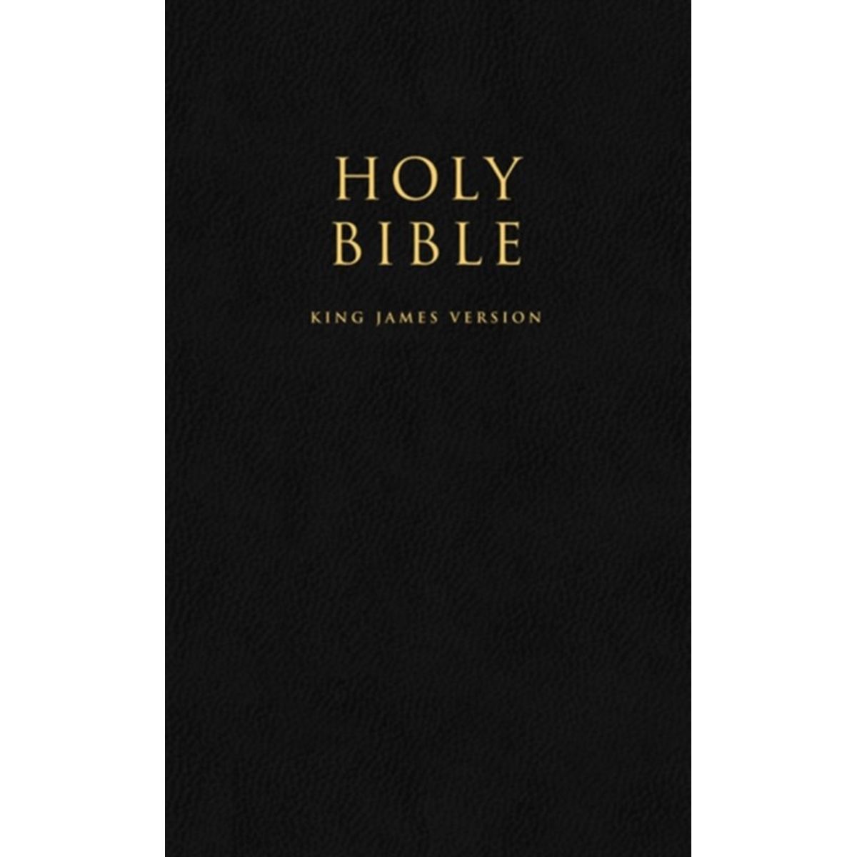 HOLY BIBLE: King James Version (KJV) Popular Gift & Award Black Leatherette Edition