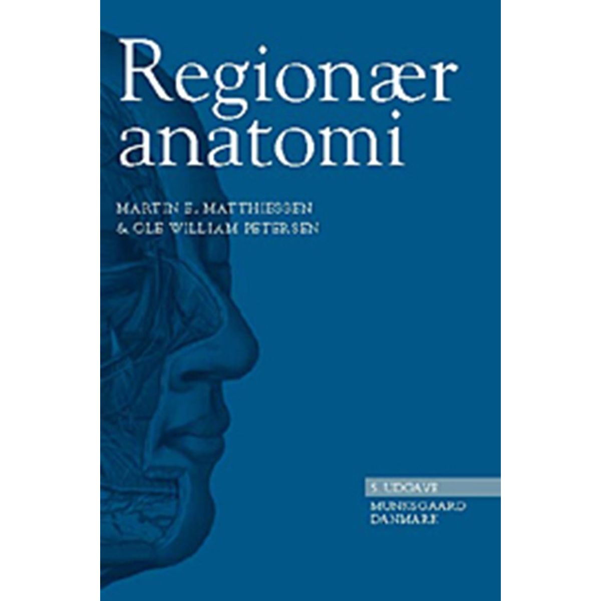 Regionær anatomi