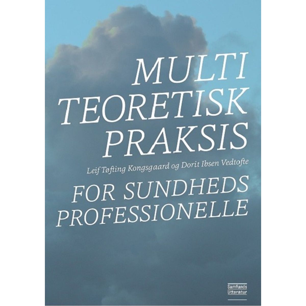 Multiteoretisk praksis for sundhedsprofessionelle