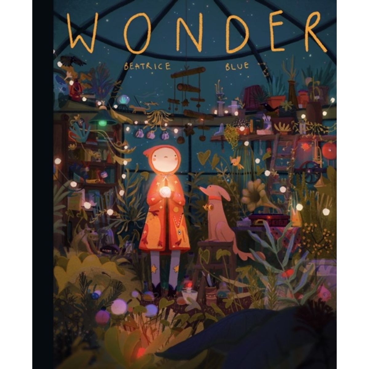 Wonder