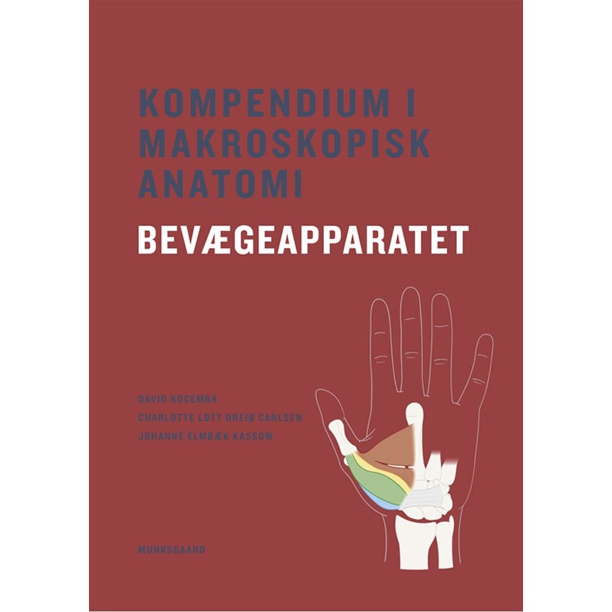 Kompendium i makroskopisk anatomi - bevægeapparatet