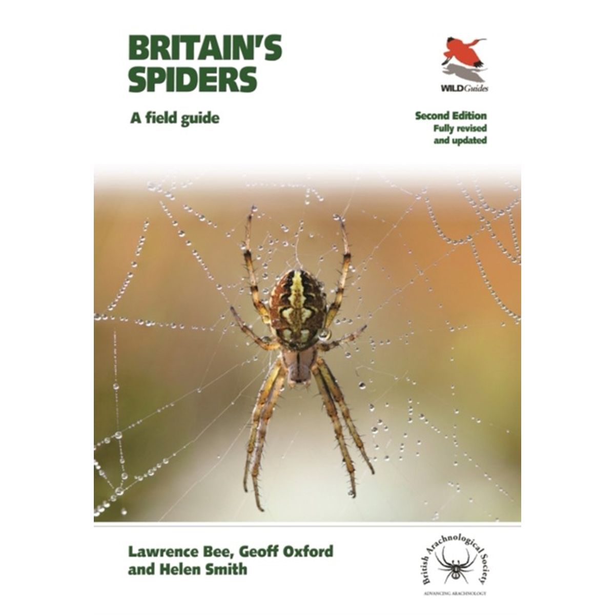 Britain's Spiders