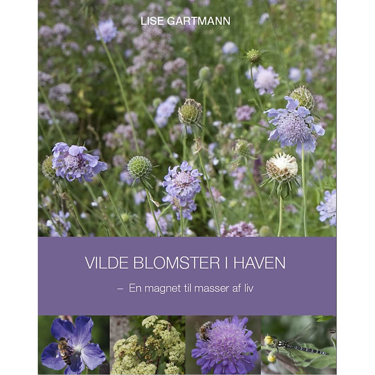 Vilde blomster i haven