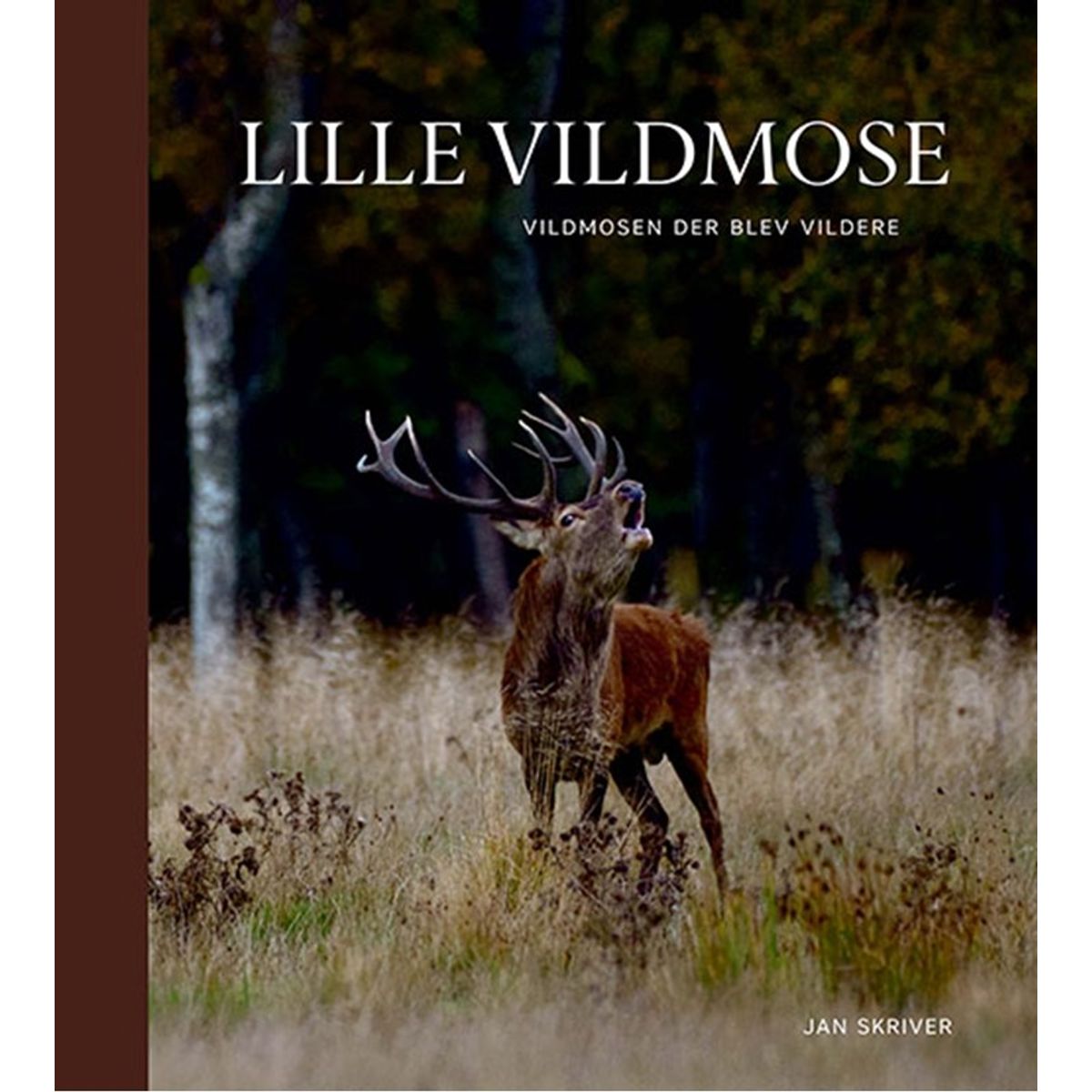 Lille Vildmose